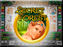 Secret Forest